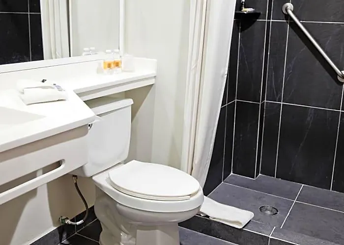 Hotel Express Satelite By Ihg 4*